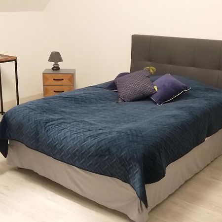 Le Gite Au Pied Du Chateau De Chaumont 외부 사진